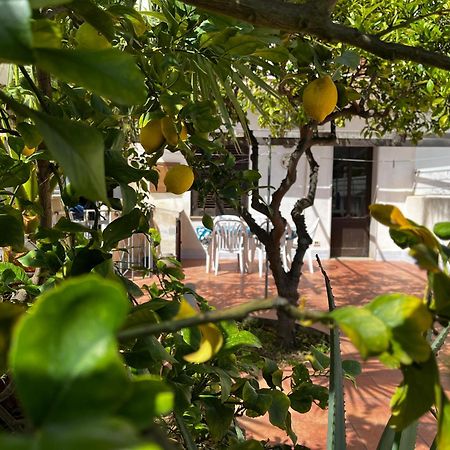 Apartamento Casa Ciccio San Vito Lo Capo Exterior foto