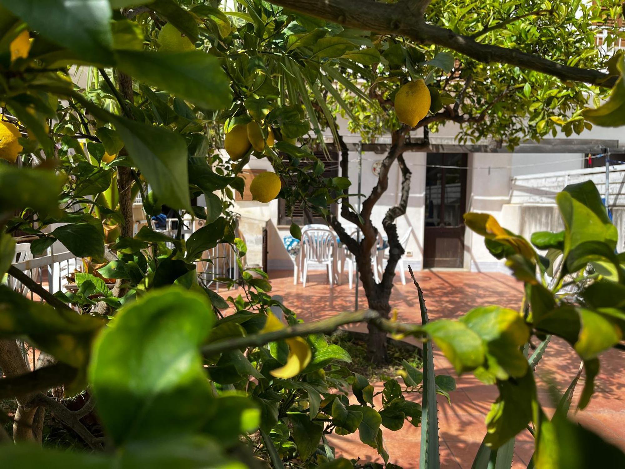 Apartamento Casa Ciccio San Vito Lo Capo Exterior foto